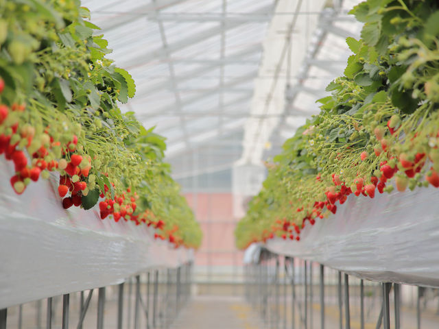 ���������̒�_��I�����݉���@�z�e���@�x�����F�f�[��