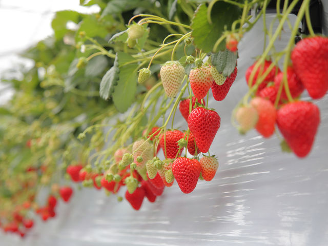 ���n�������������ς�_��I�����݉���@�z�e���@�x�����F�f�[��