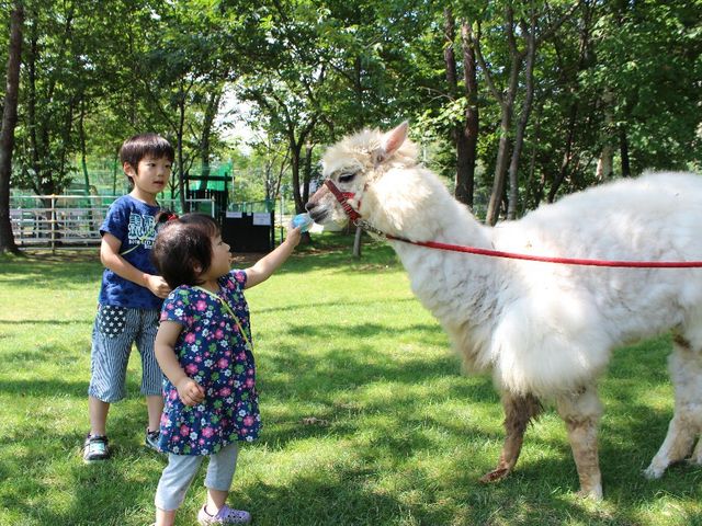 サラダファーム
