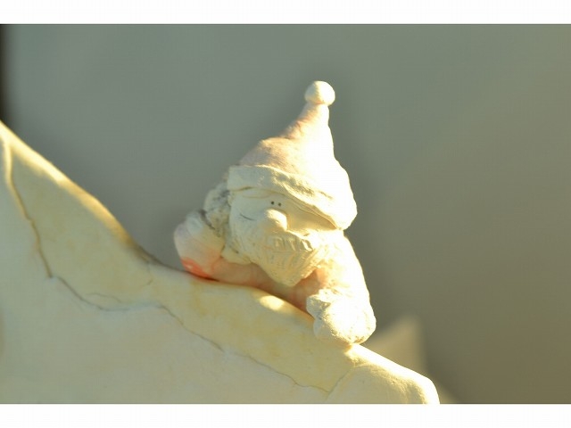 �f�B�X�v���[_�I�[�i�����g�H�[