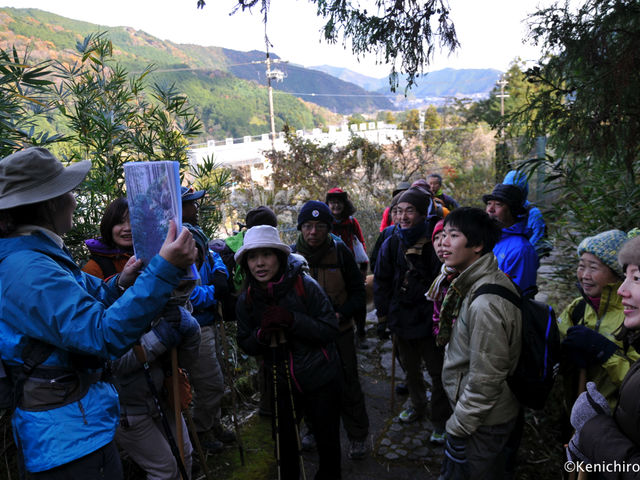 �c�́E�@�l�l�v����_�F��Ó��G�R�c�A�[�@���܂̑̌����