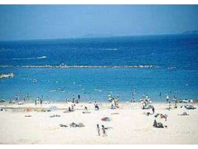 �y��������S�I�z�ɑI�΂ꂽ�w�e���l�C������x�͓k���Ŗ�P���B�܂�Ńv���C�x�[�g�r�[�`�̂悤�ȋ߂�_�͂�����@���҂��̏h�@�����