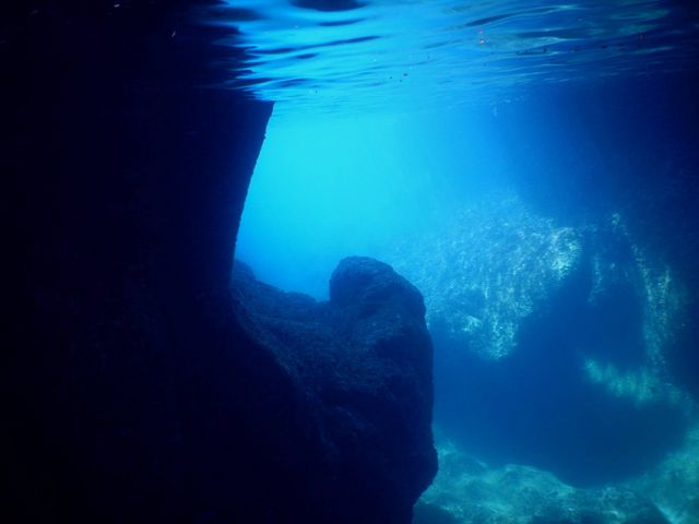 �V���m�[�P���Ő̓��A_�}�����X�|�[�c�@D-style