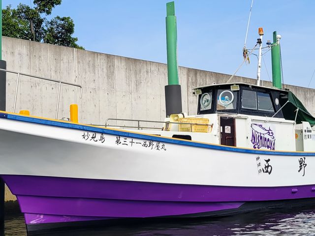 �y�ނ�D���쉮�z��10�N�Ԃ�ɒނ�D���V�����Ȃ��ċA���Ă��܂����I_�D�h���쉮(���`�D���쉮��/�]�˂��񂶂ᕐ����/�ނ�D���쉮)