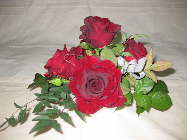 �a�d�k�k�`�@�q�n�r�`�i�x�b�����[�U�j