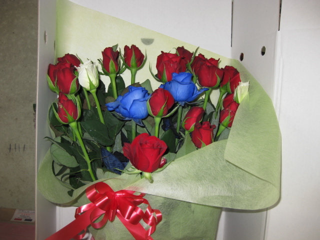 �a�d�k�k�`�@�q�n�r�`�i�x�b�����[�U�j