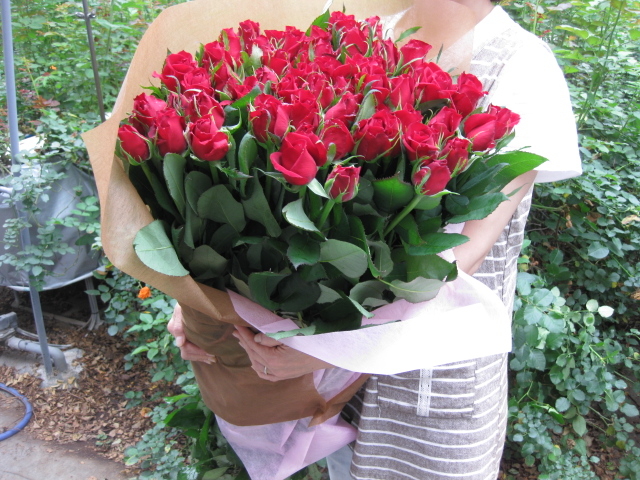 �a�d�k�k�`�@�q�n�r�`�i�x�b�����[�U�j