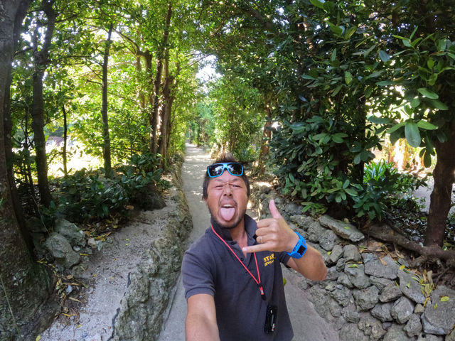 �����}�������W���[