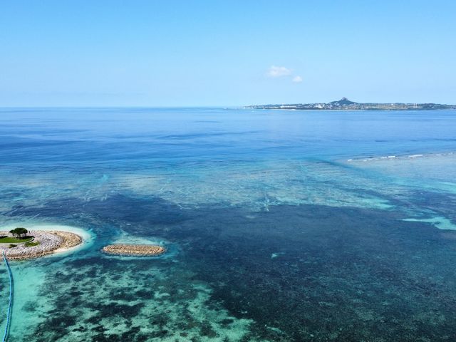 �����}�������W���[