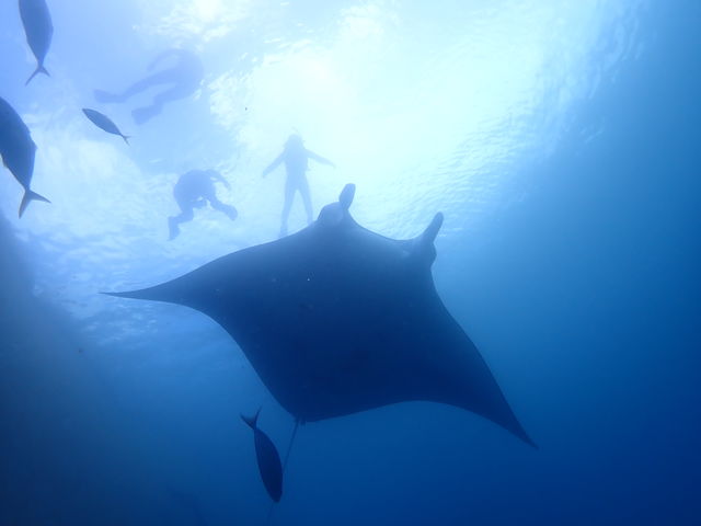 �����}�������W���[