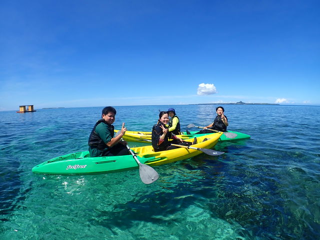 �����}�������W���[