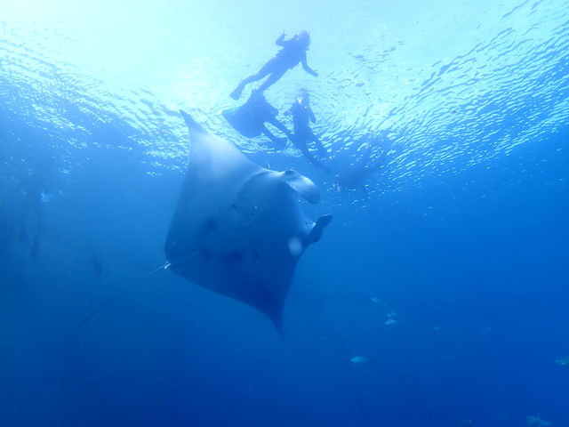 �����}�������W���[