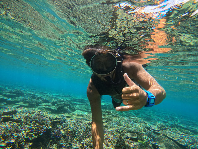 �����}�������W���[