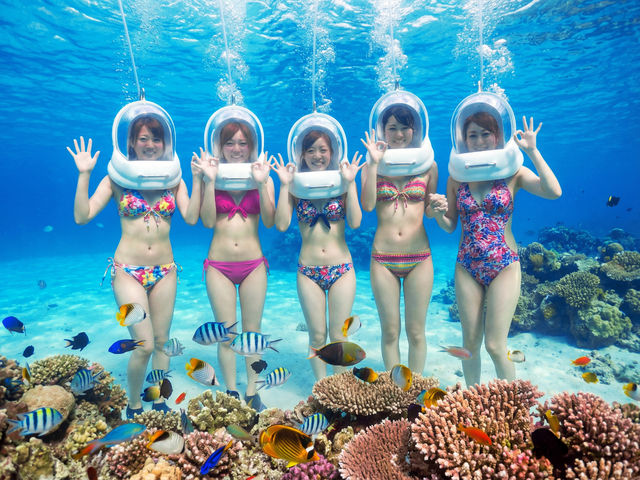 �u���[�I�[�V����