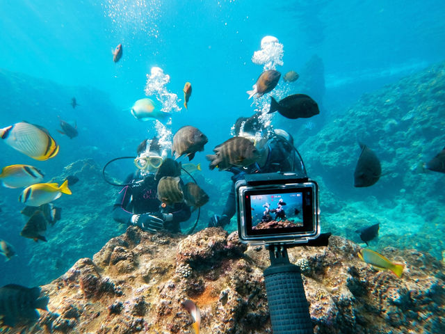 Gopro�����^���������ł�_�u���[�I�[�V����