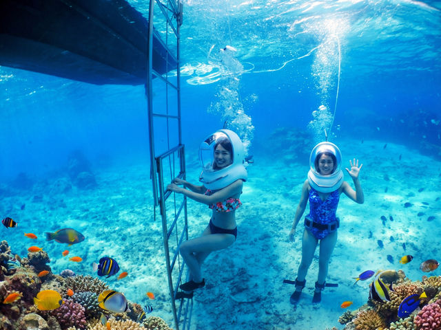 ��l�C�̃V�[�E�H�[�N�B�K�i�ŏ�艺�肵�܂�_�u���[�I�[�V����