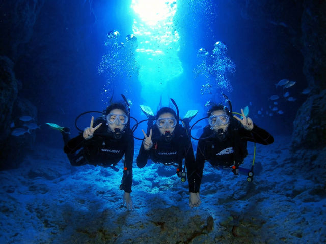 �̓��A�̌��_�C�r���O�c�A�[_�u���[�I�[�V����