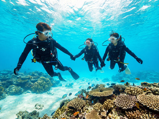 �̌��_�C�r���O�̓C���X�g���N�^�[���ꑮ�ŒS�����܂�_�u���[�I�[�V����