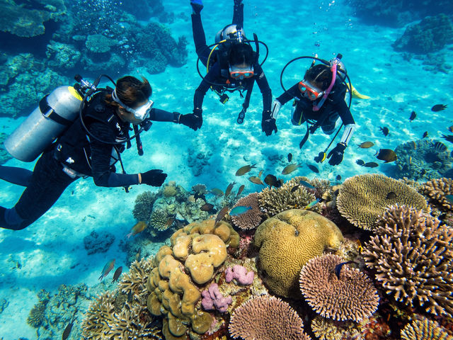 �̌��_�C�r���O�́A���Ȃ����������񌩂�܂���_�u���[�I�[�V����