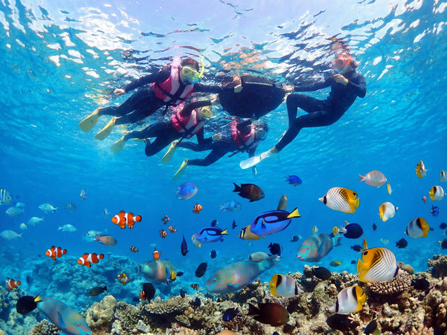 �f�G�Ȏʐ^���B��܂���_�u���[�I�[�V����