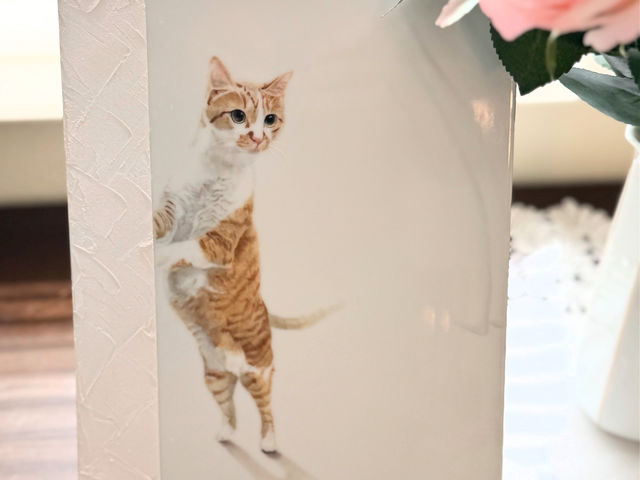 �u�t��i_���i�|�[�Z�����O���[�v�E��q�ʐ�Z�`���G�t���E�|�[�Z���[�A�[�c�T����