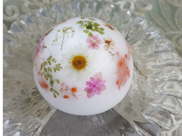 ��̂Ђ�T�C�Y�̃h�[�����C�g�B���Ԃ��������f��܂��B_�L�����h���X�N�[����zTwin�@Tail