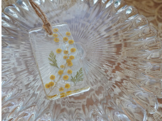 �~���U������߂āB�G�߂��y���ރ��b�X����L�x�ɂ��p�ӁB_�L�����h���X�N�[����zTwin�@Tail