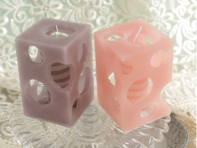 �L�����h���㋉�Ҍ����̌������L�����h���B_�L�����h���X�N�[����zTwin�@Tail