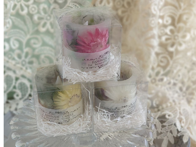 �~�j�̃{�^�j�J�������^���@������LED�L�����h�����s�b�^������܂��B_�L�����h���X�N�[����zTwin�@Tail