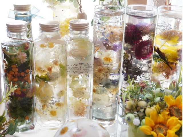 �n�[�o���E����W�F�����b�N�X���g�����{�g�����l�C_�L�����h���X�N�[����zTwin�@Tail