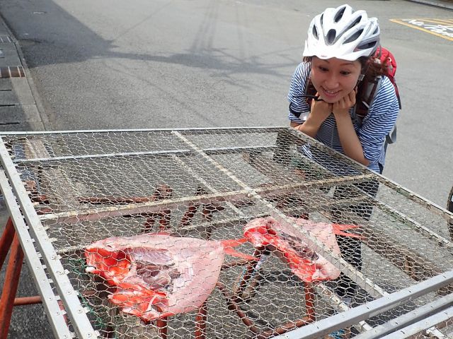 IZU ADVENTURE FACTORY