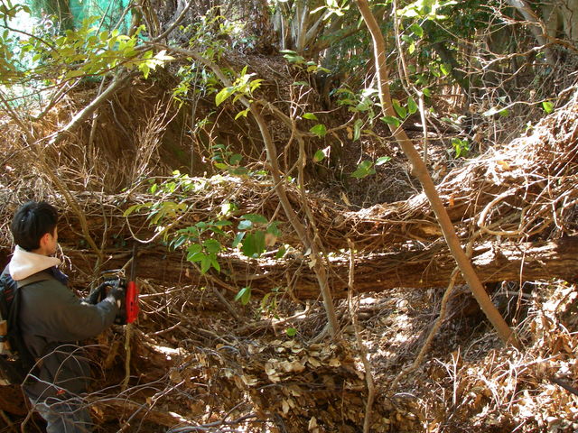 IZU ADVENTURE FACTORY