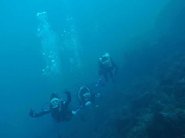 ダイビングの醍醐味とも言える浮遊感海の中なら飛べる!_伊豆高原ダイビングスクール リトルリッツ