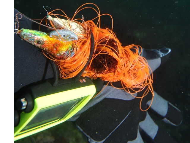 たまには水中清掃#ラインポリス_伊豆高原ダイビングスクール リトルリッツ