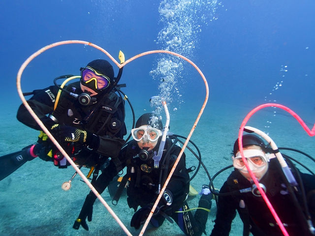 ダイビングは、気持ちいいいよ〜。_伊豆高原ダイビングスクール リトルリッツ