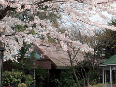 ���㕧�������� �񎍎ɂ̎ʐ^1