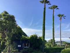ISLAND�i�A�C�����h�j�̎ʐ^1