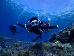 �Z�u���V�[�Y�Ó�{�X�̎ʐ^1