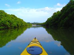 ���΂鎩�R�m�̎ʐ^1