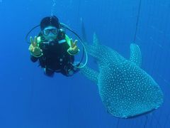 ダイビングサービスあいる・ぷまんどぅの写真1