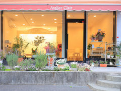 �����������ʐ^�X�^�W�I�@�A�g���G�E�N���[���̎ʐ^