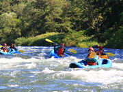 NAC�j�Z�R�A�h�x���`���[�Z���^�[�̎ʐ^3