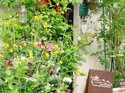 Fra@cotta@DecoitRb^@fRjt[XN[̎ʐ^2