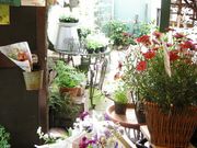 Fra@cotta@DecoitRb^@fRjt[XN[̎ʐ^3