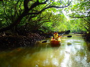 JbNT[rXt[X[cΊ_̎ʐ^4