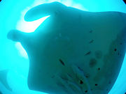 Ί__CrOVbv@FunSeayt@V[zΊ_̎ʐ^2