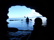 Ί_GRcA[VbvI[p̎ʐ^3