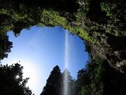 WIoXcA[(B򗷍H)̎ʐ^2