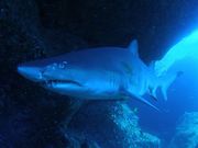 _CrOT[rXKAIZIN̎ʐ^2