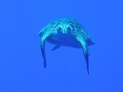 _CrOT[rXKAIZIN̎ʐ^4